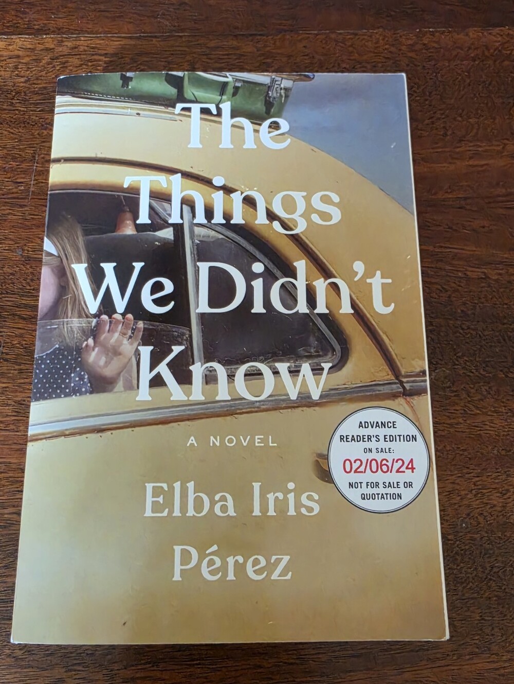 The Things We Didn't Know by Elba Iris Perez Paperback Book ARC
